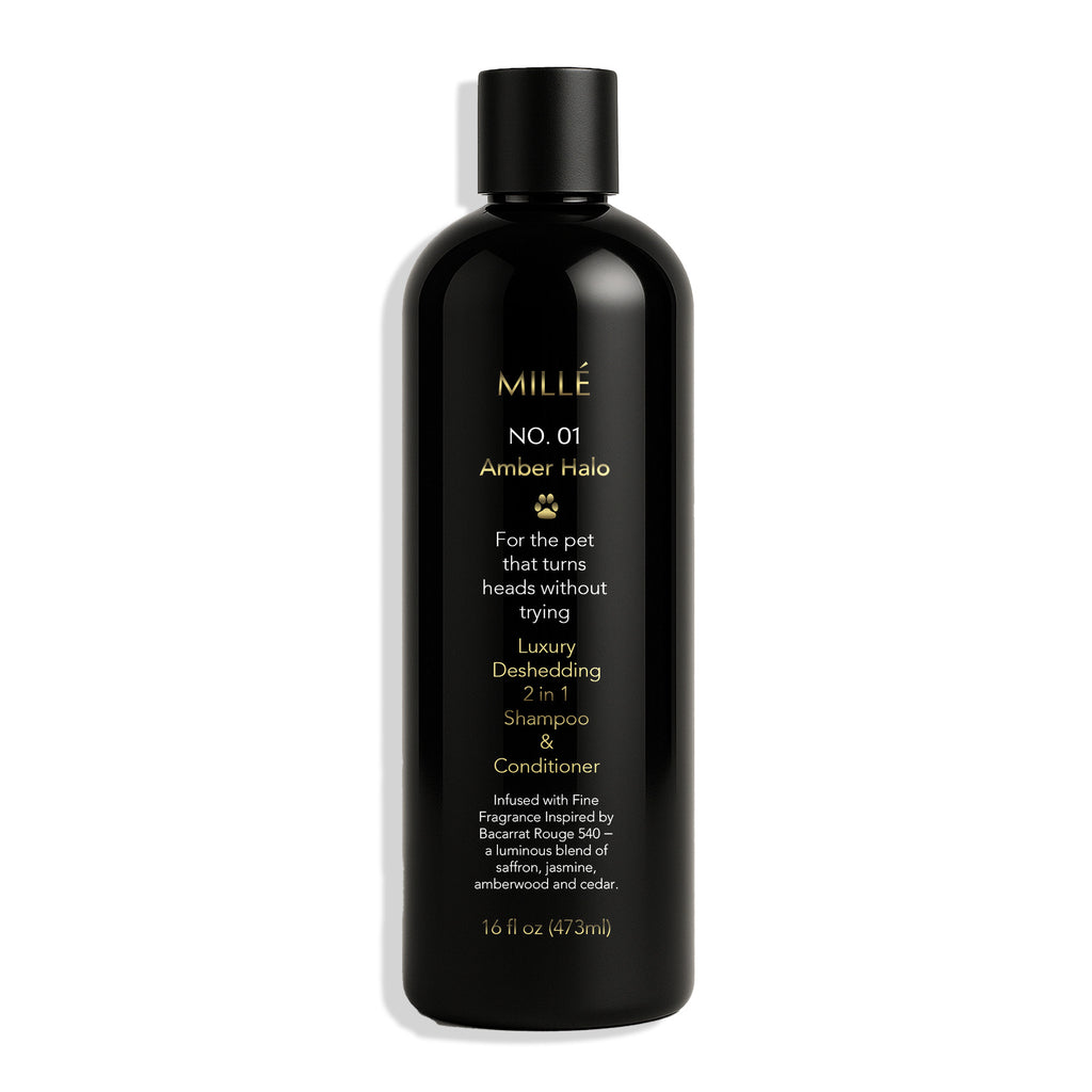 Black bottle of Millé No. 01 Amber Halo pet shampoo and conditioner on a white background